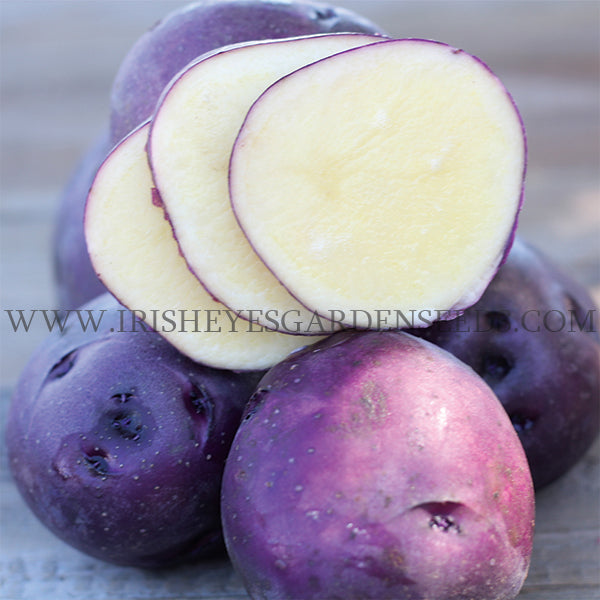 Seed Potato Assorted (Organic)