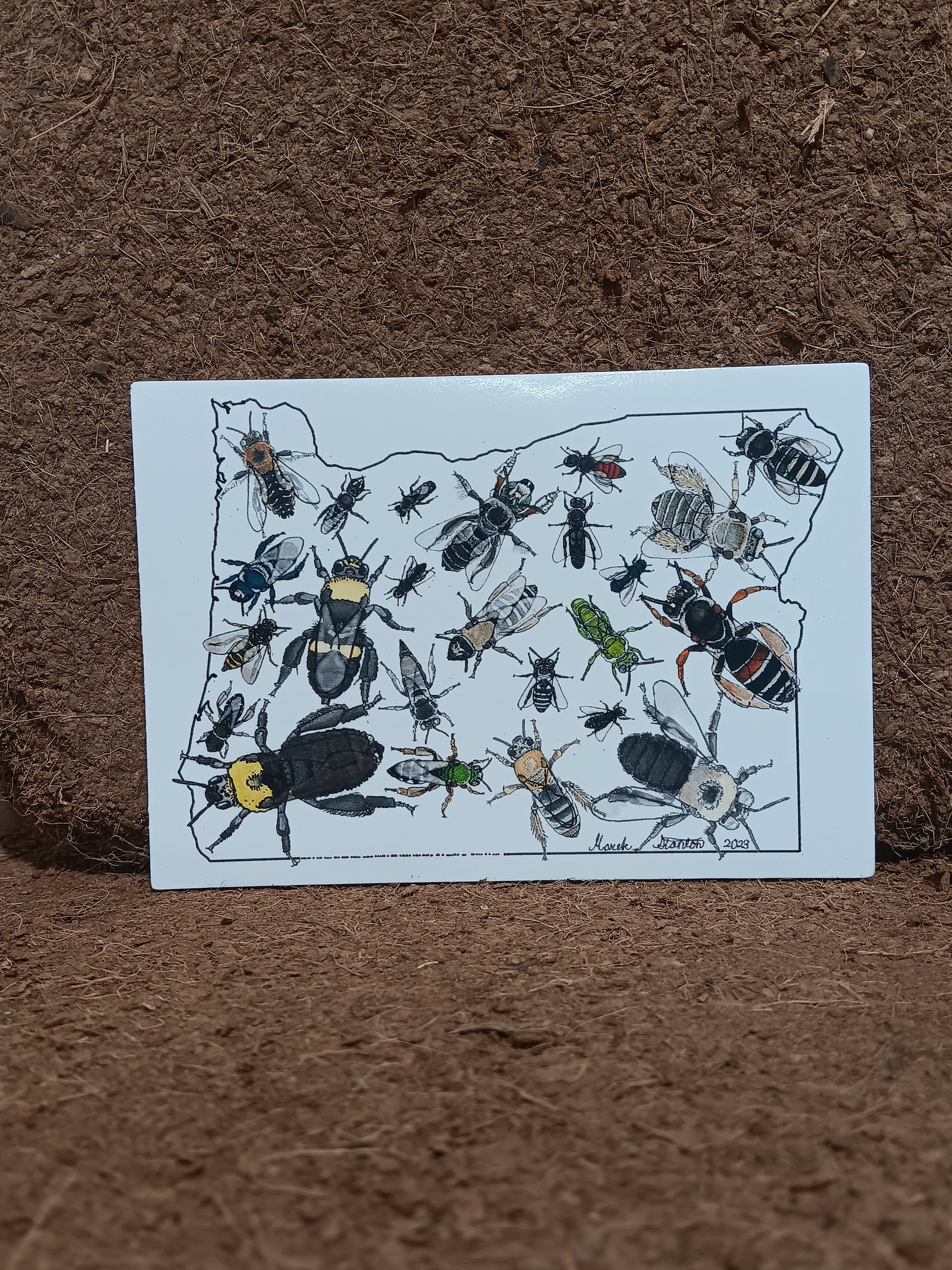 Oregon Bee State Sticker CC