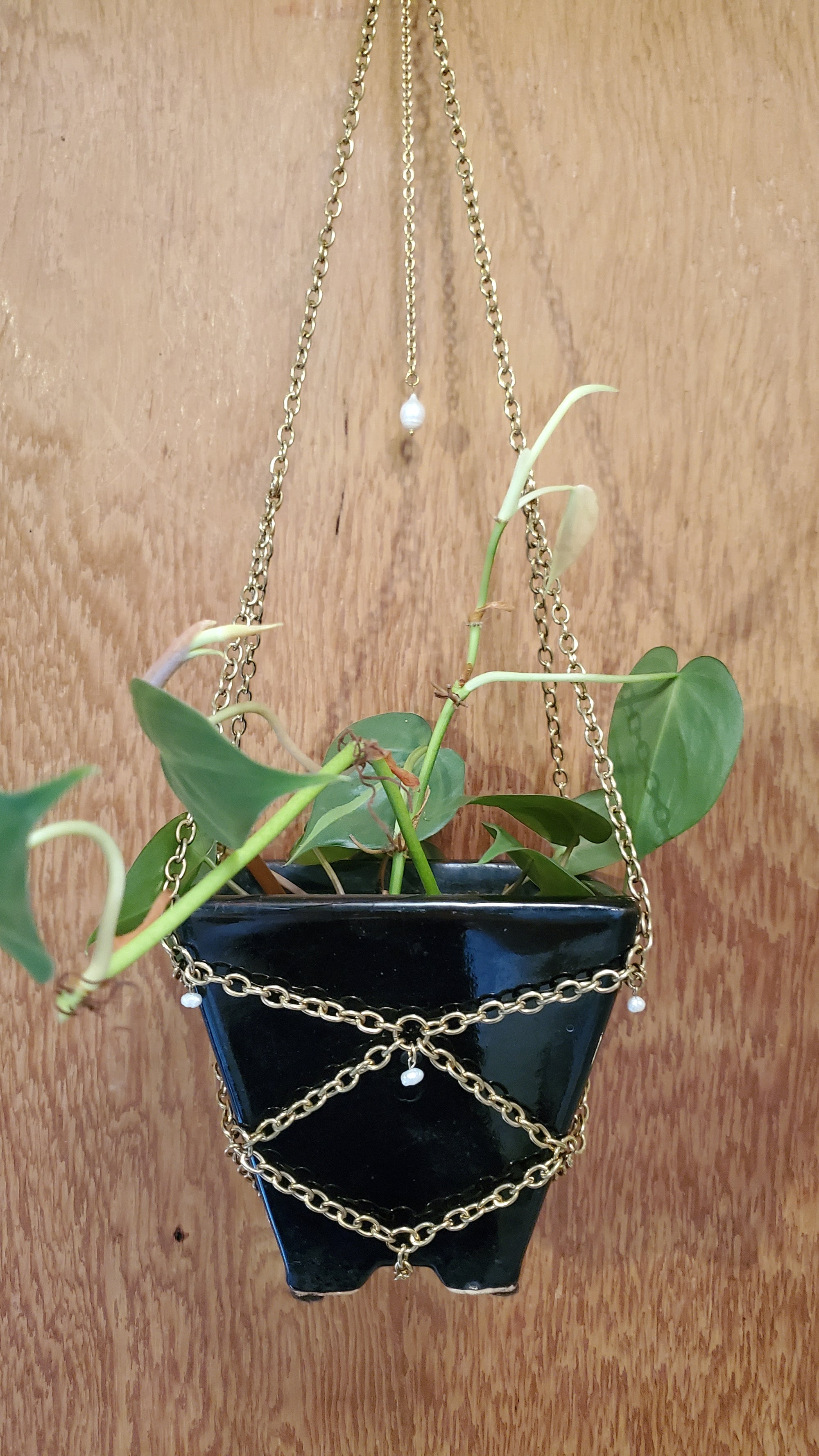 Gold Chain Plant Hanger CC
