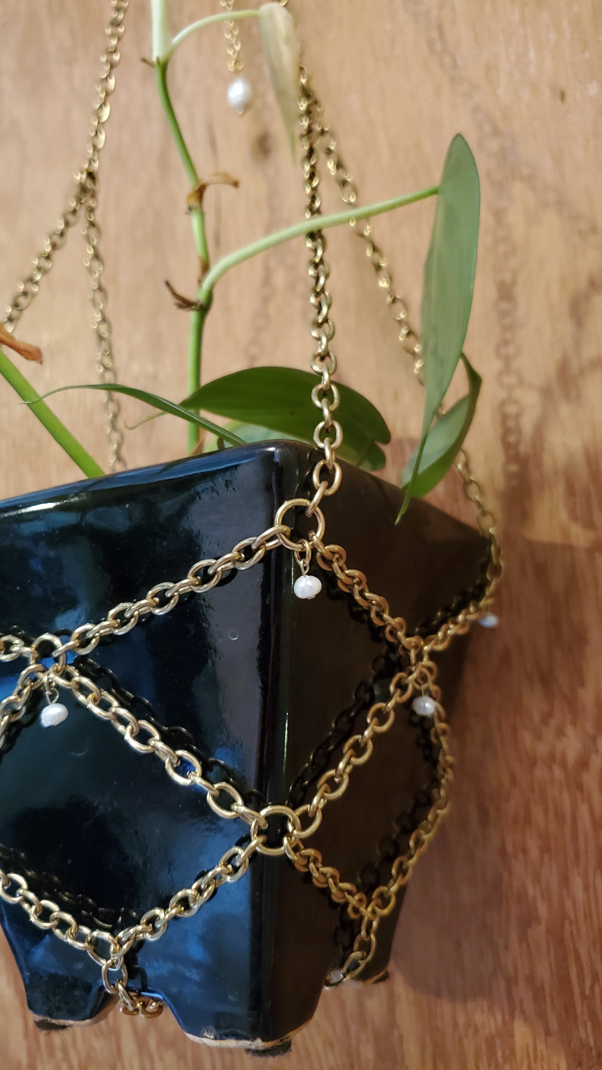 Gold Chain Plant Hanger CC