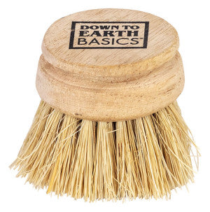 Dish Brush Replacement Head DTE Basics