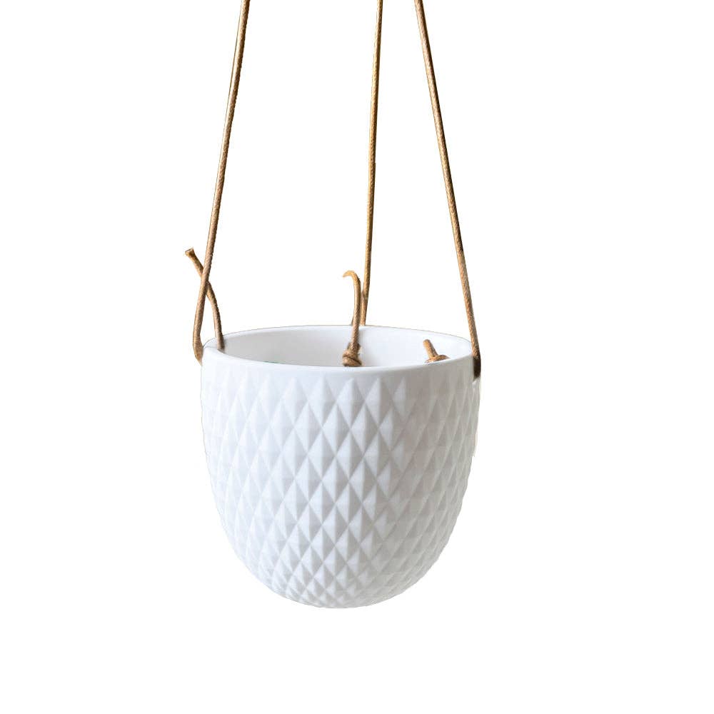 Virago Ceramic Hanging Planter with Cord