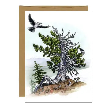 Whitebark Pine and Nutcracker Greeting Card