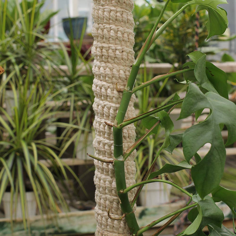 Stackable Macrame Plant Pole