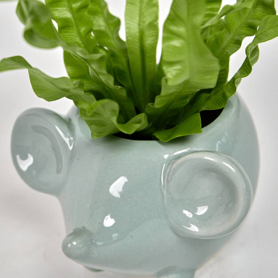 Mouse Succulent Pot 3"