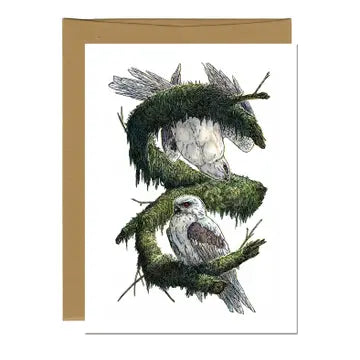 White-Tailed Kites Greeting Card