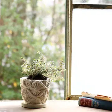 Macrame Cement Planter