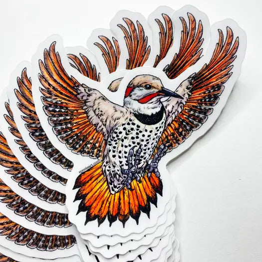 Northern Flicker Sticker - SymbiOp Garden Shop