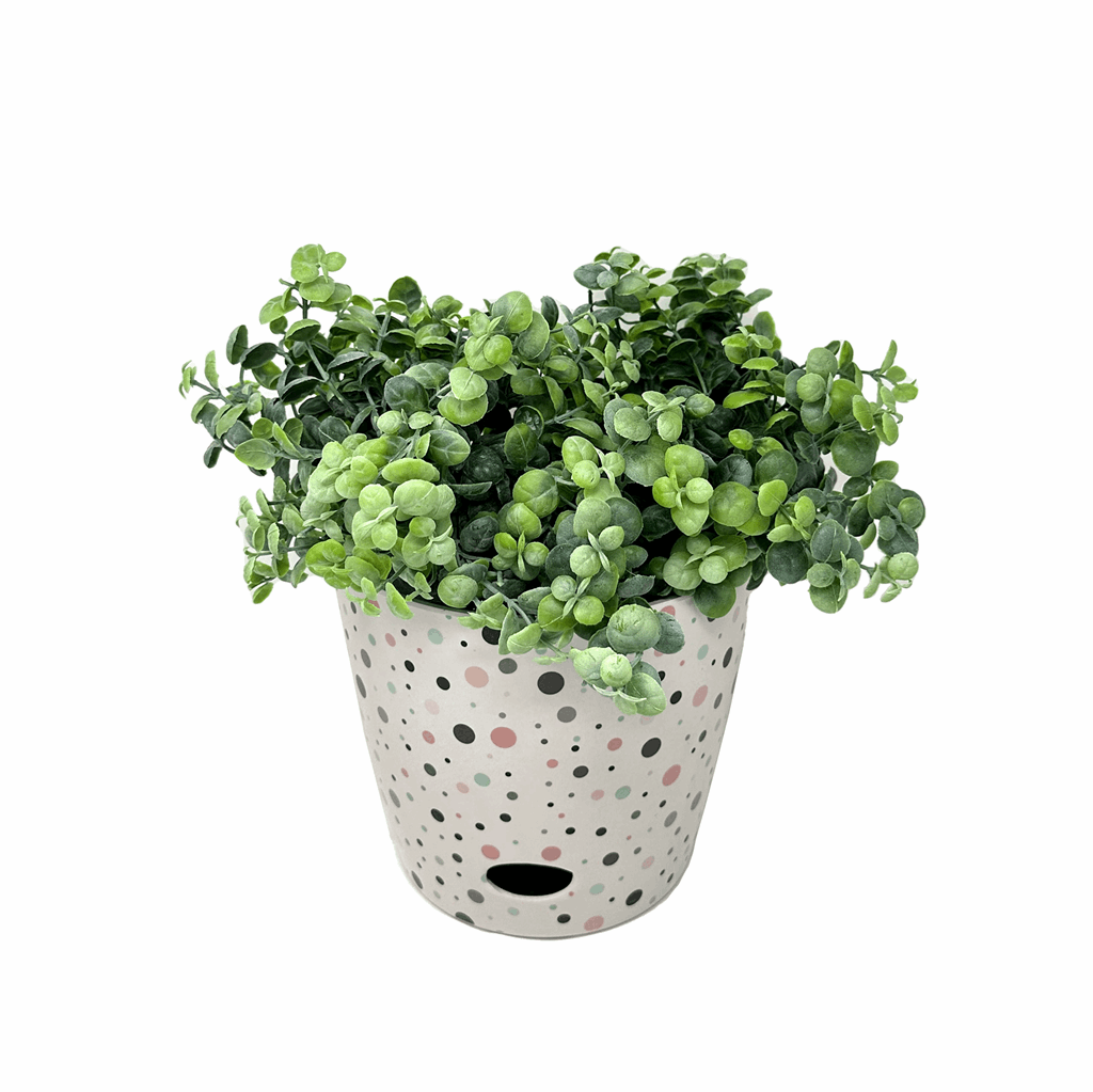 round self watering planter Tierra Garden 7" Round Self-Watering Bamboo Pot Dots