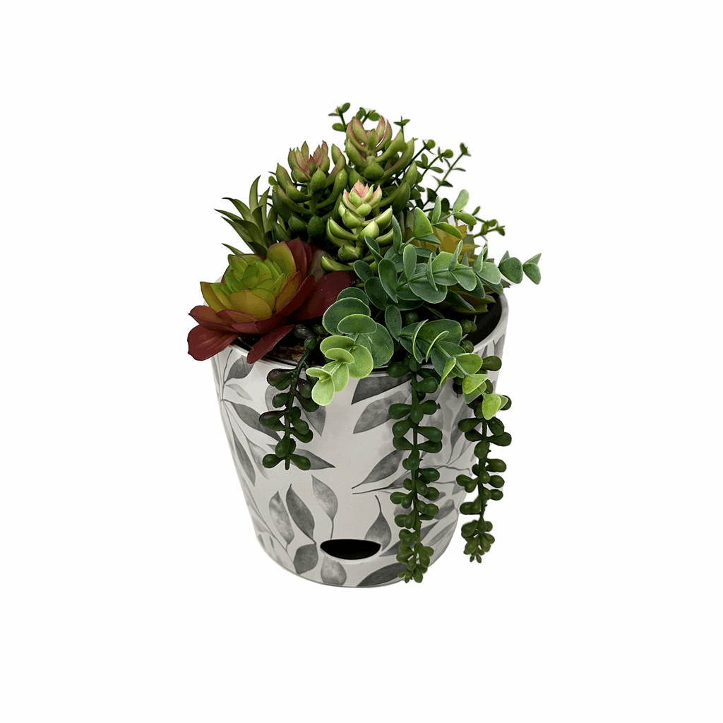 self watering succulent planter 10" Cream Round Self-Watering Bamboo Pot