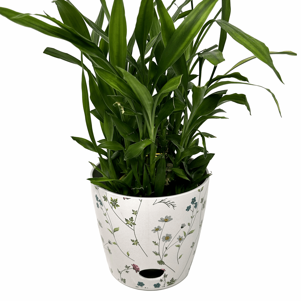 TDI Bamboo Round Self Watering Planter