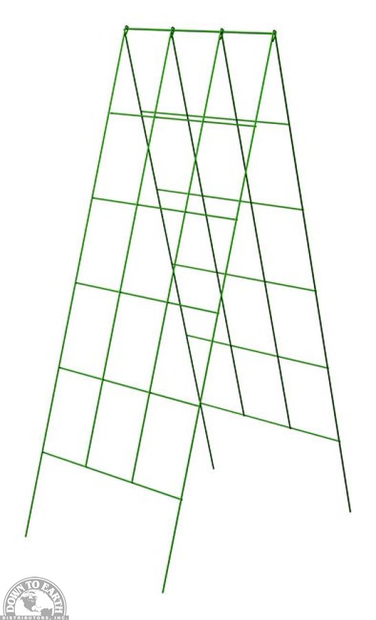 A-Frame Plant Support