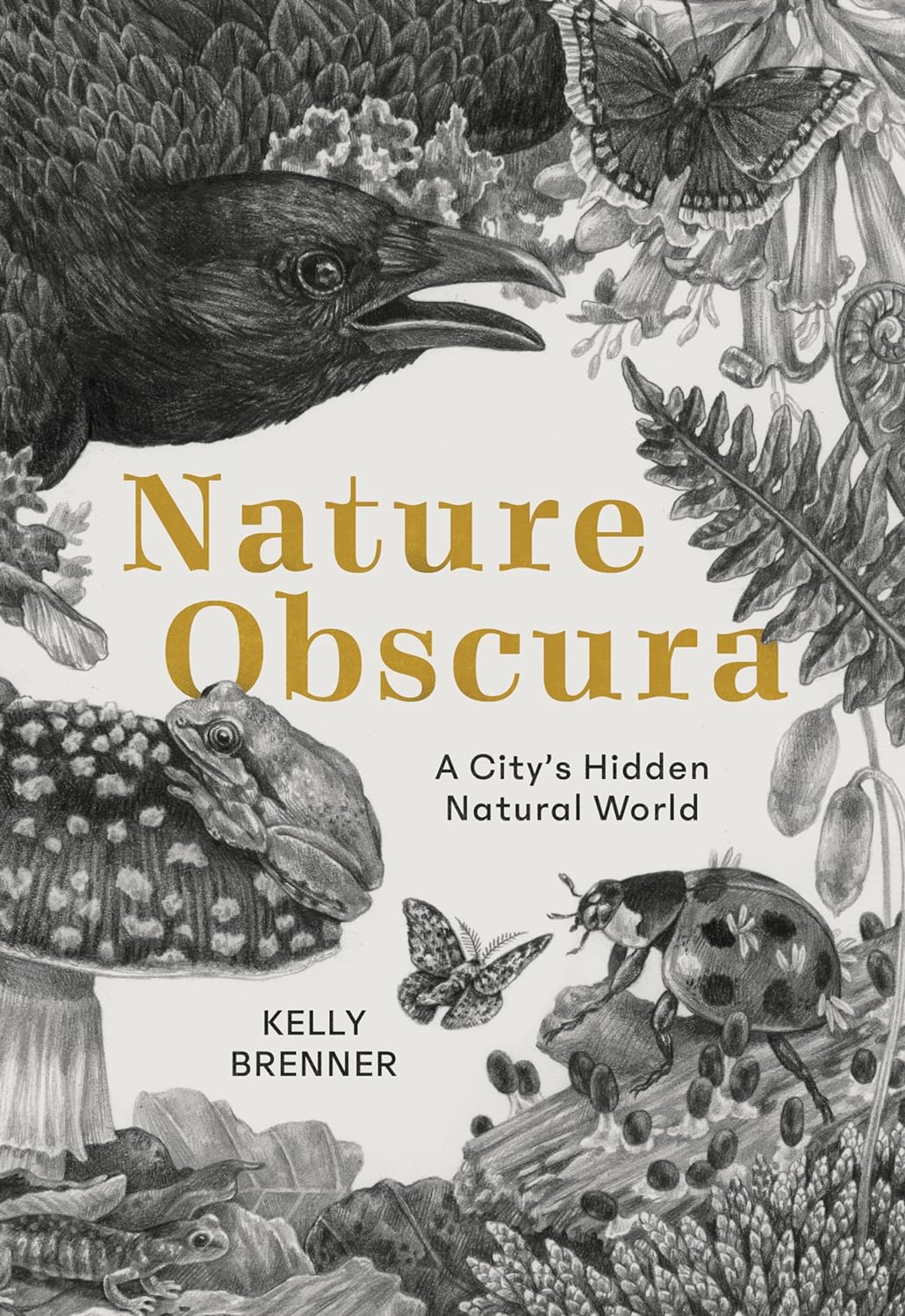 Nature Obscura A City's Hidden Natural World