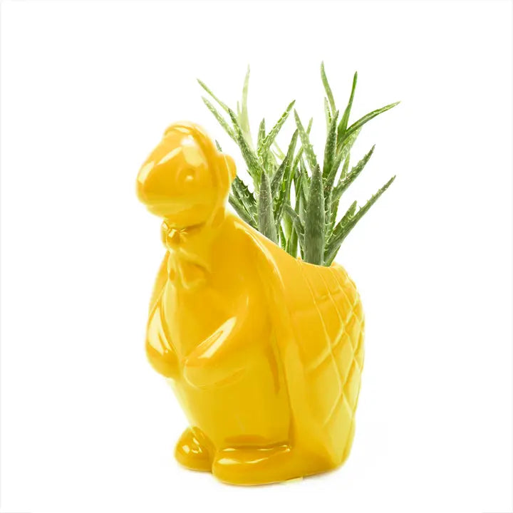 Turtle succulent planter