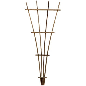 A&G Fan Trellis