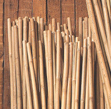 Bamboo Stake