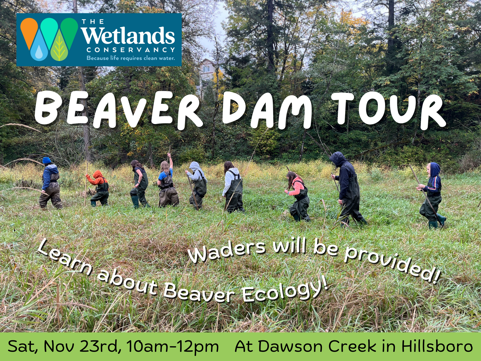 Beaver Wetland Tour