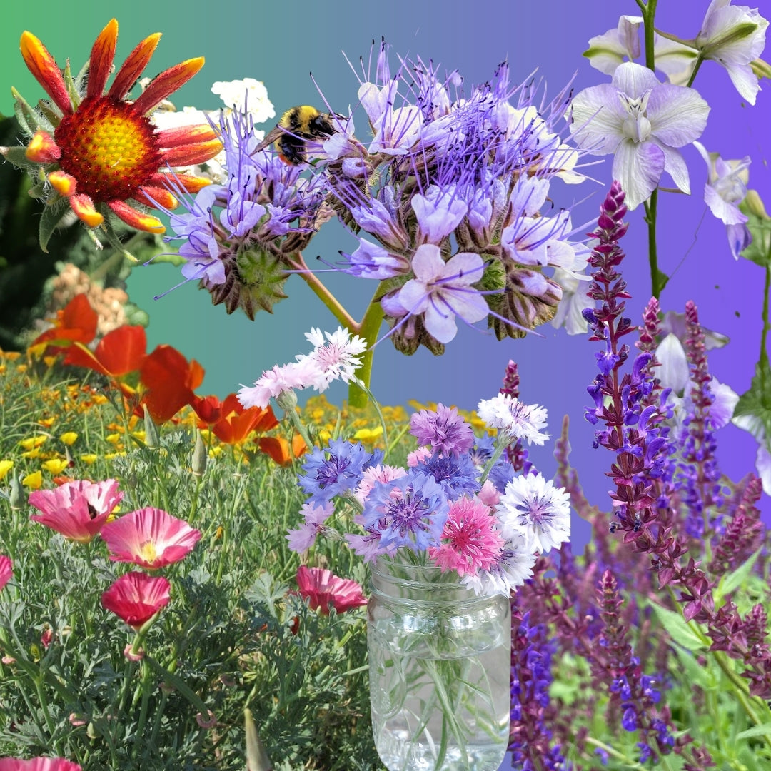 Flower Mix, Bee My Pollinator! - Seed SRC
