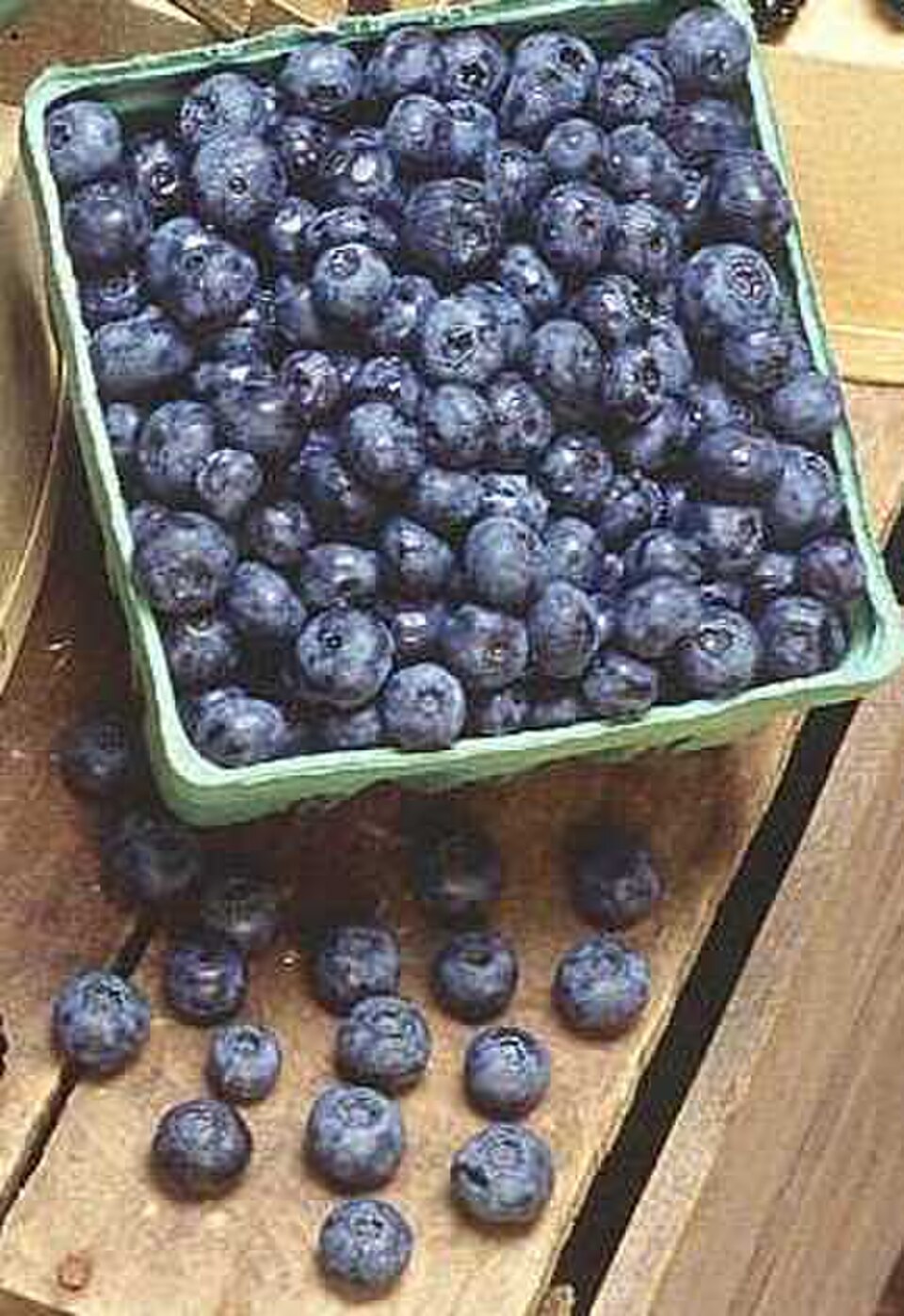 Fresh Organic Blueberries