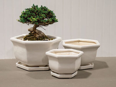 Glazed Hex Bonsai Pot with Saucer