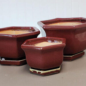 Glazed Hex Bonsai Pot with Saucer