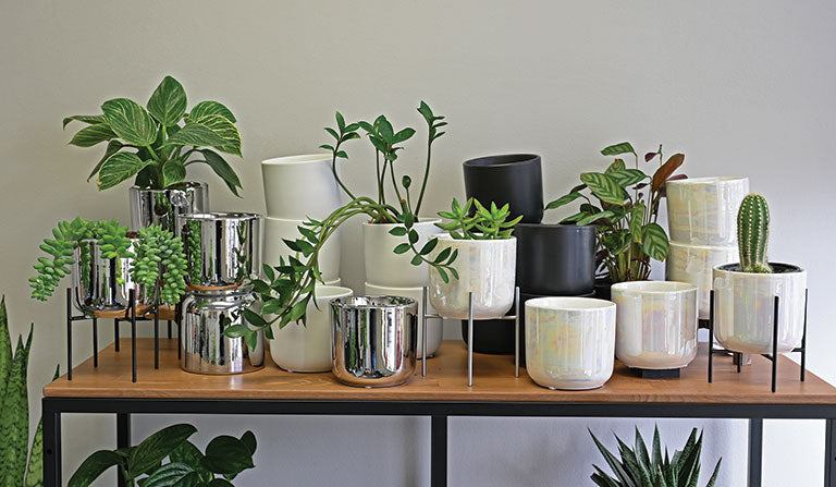 Element Pot 4.5" Assorted