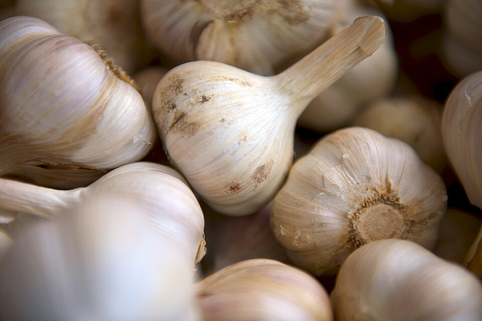 Garlic Assorted, Hardneck (Organic)