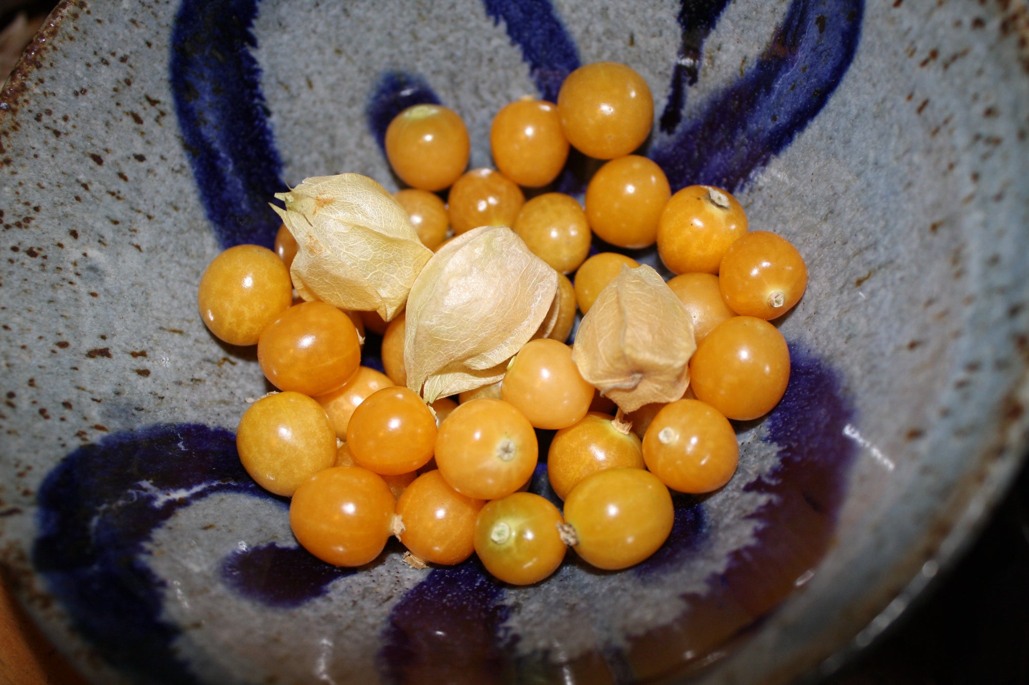 Ground Cherry 'Aunt Mollys' (Physalis pruinosa) - Seed SRC