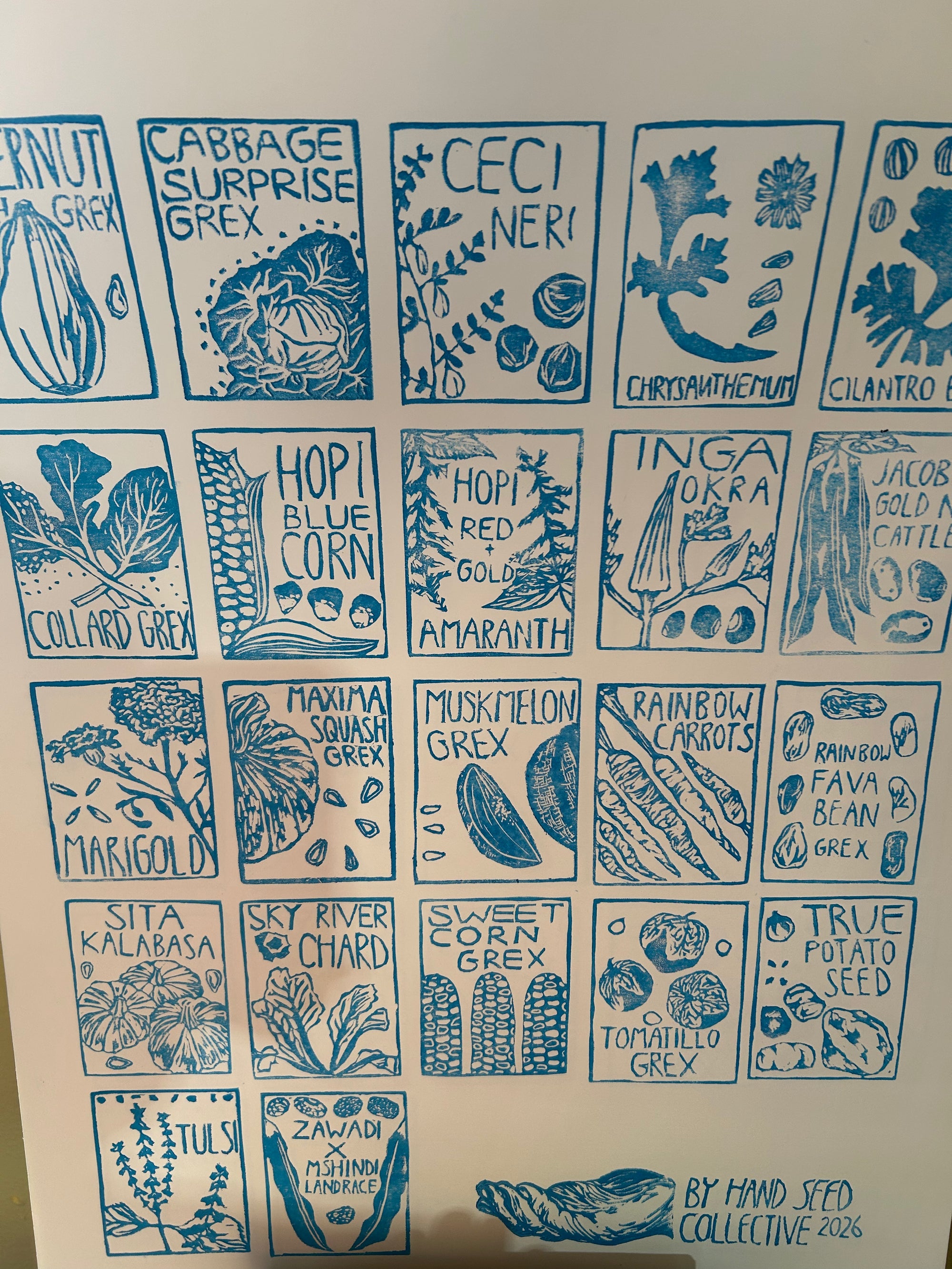 By Hand Seeds Poster (18"x24") - TF CC