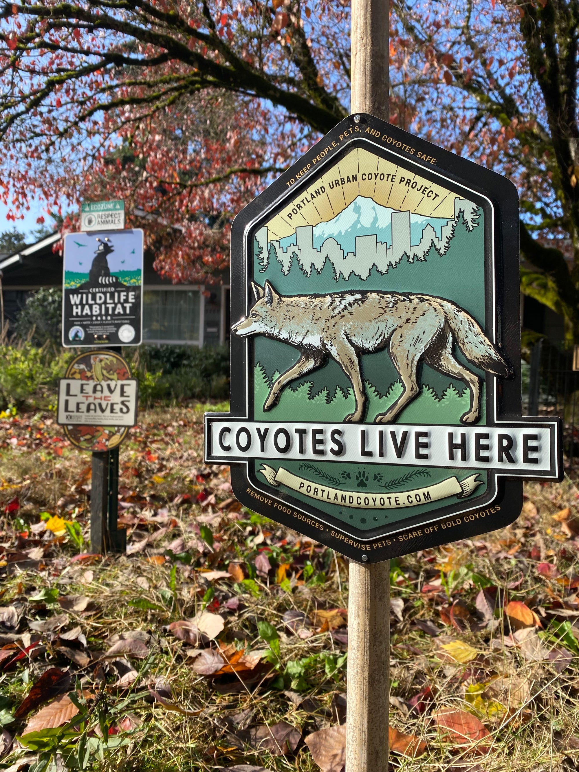 "Coyotes Live Here" Yard Sign CC