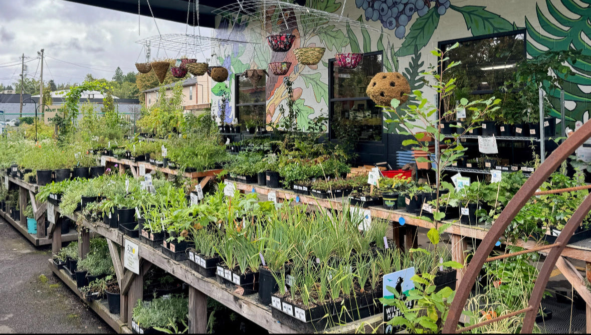 SymbiOp Garden Shop