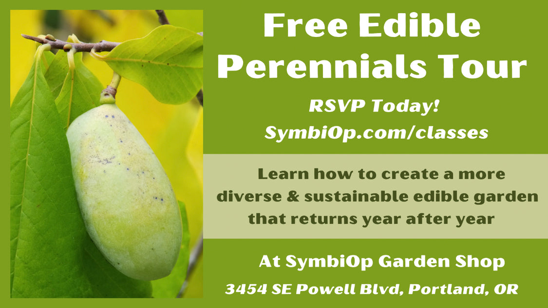 Free Edible Perennials Tour