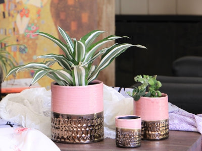 Jewel Pots PHG