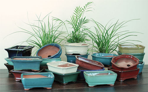 Glazed Bonsai Pots