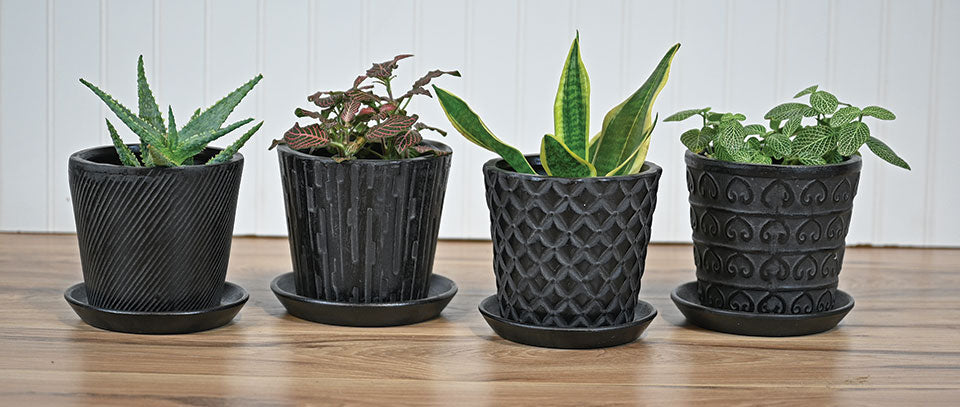 Texture Taper Pot w/Saucer 5.5"