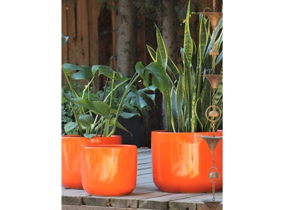 Lynx Planter