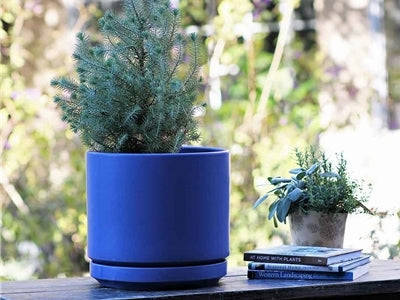 planter with saucer modern Mid Modern Planter with Detached Saucer