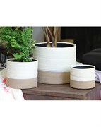 Pacific Home & Garden Jewel Pots