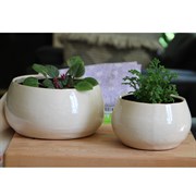 Pacific Home & Garden Jewel Pots