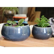 Pacific Home & Garden Jewel Pots