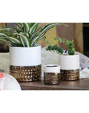 Jewel Cache Pots