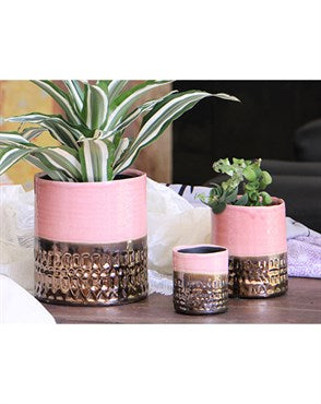 Jewel Cache Pots