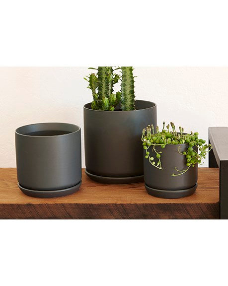 Palm Springs Round Pots BFG