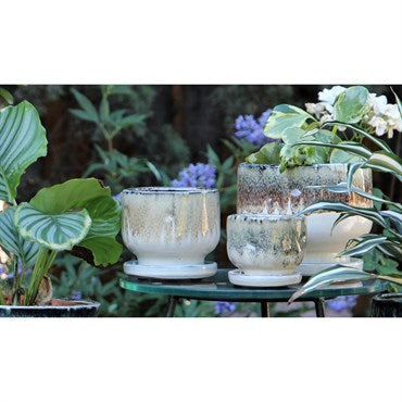 Pacific Home & Garden Verandah Planters