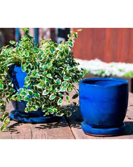 Verandah Maui Indoor Planter BFG