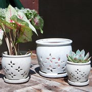 Pacific Home & Garden Verandah Planters