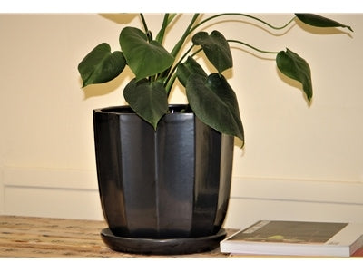 Clamshell Planter with Attached Saucer