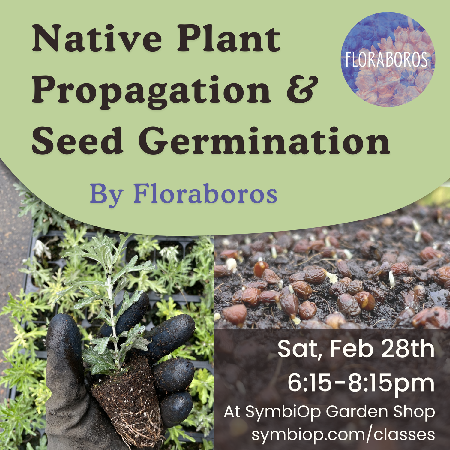 Native Propagation Plant and Seed Germination