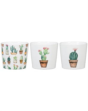 Scheurich 870 Ceramic Cactus Garden Pot 3.5" D