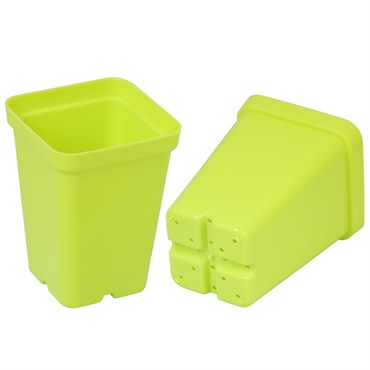 Sunpack Square Pot 2.5"